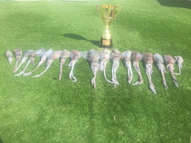 Calamari Cup 2016 